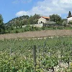 Quinta Da Terrincha