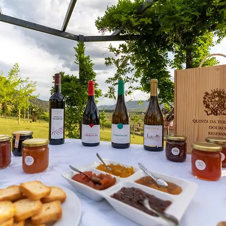 Quinta Da Terrincha Landsted Torre De Moncorvo