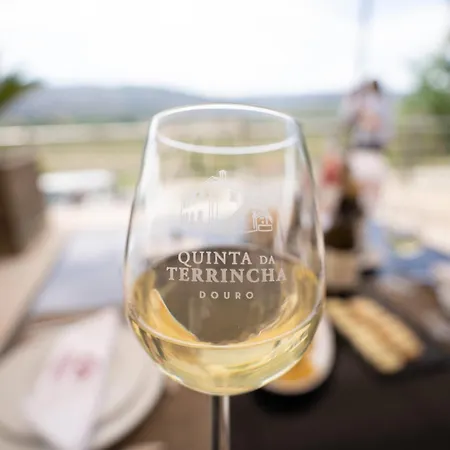 Quinta Da Terrincha Torre De Moncorvo