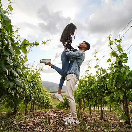 Séjour à la campagne Quinta Da Terrincha *