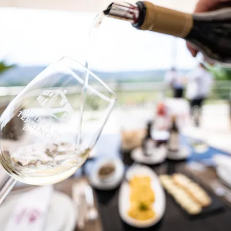 Landhuis Quinta Da Terrincha *