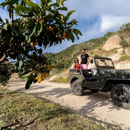 Quinta Da Terrincha Landhuis *