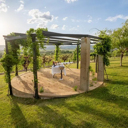 Quinta Da Terrincha Torre De Moncorvo