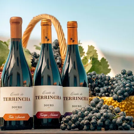 Quinta Da Terrincha * 토레드몽코보