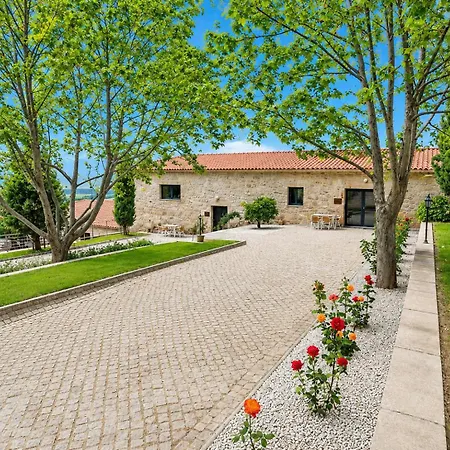 Quinta Da Terrincha * Torre De Moncorvo