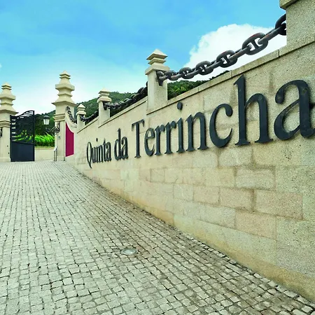 בית כפרי Quinta Da Terrincha *