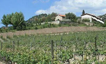 Quinta Da Terrincha