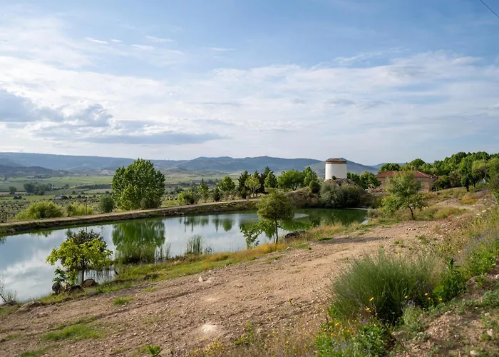 Casa de Campo Quinta Da Terrincha