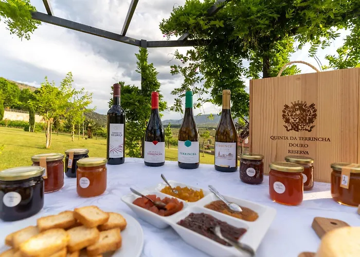 Quinta Da Terrincha 컨트리하우스 토레드몽코보