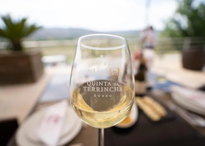 Quinta Da Terrincha Torre De Moncorvo