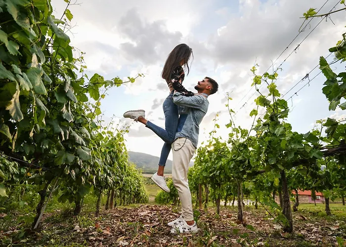 컨트리하우스 Quinta Da Terrincha *