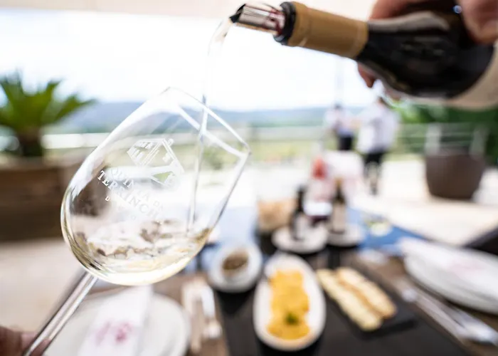 컨트리하우스 Quinta Da Terrincha *