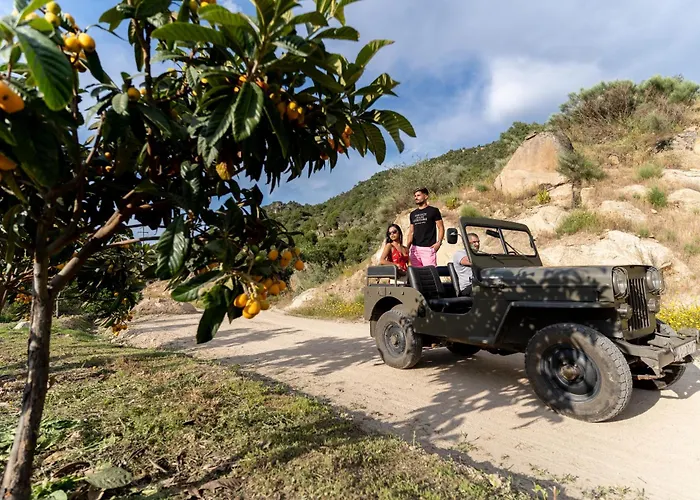 Quinta Da Terrincha Casa de Campo *