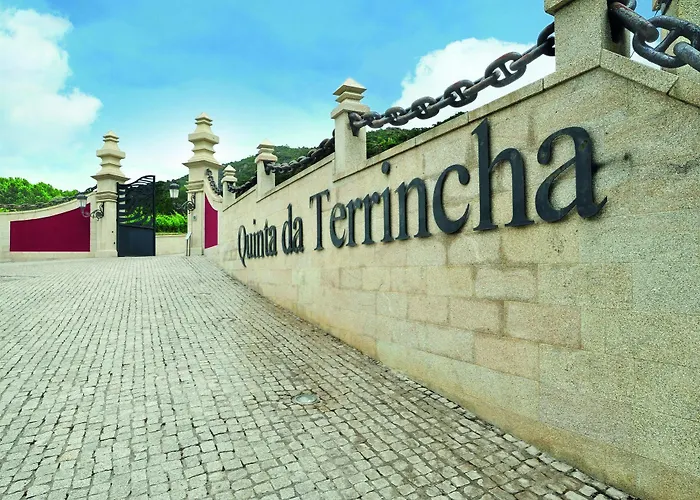 Gospodarstwo wiejskie Quinta Da Terrincha *